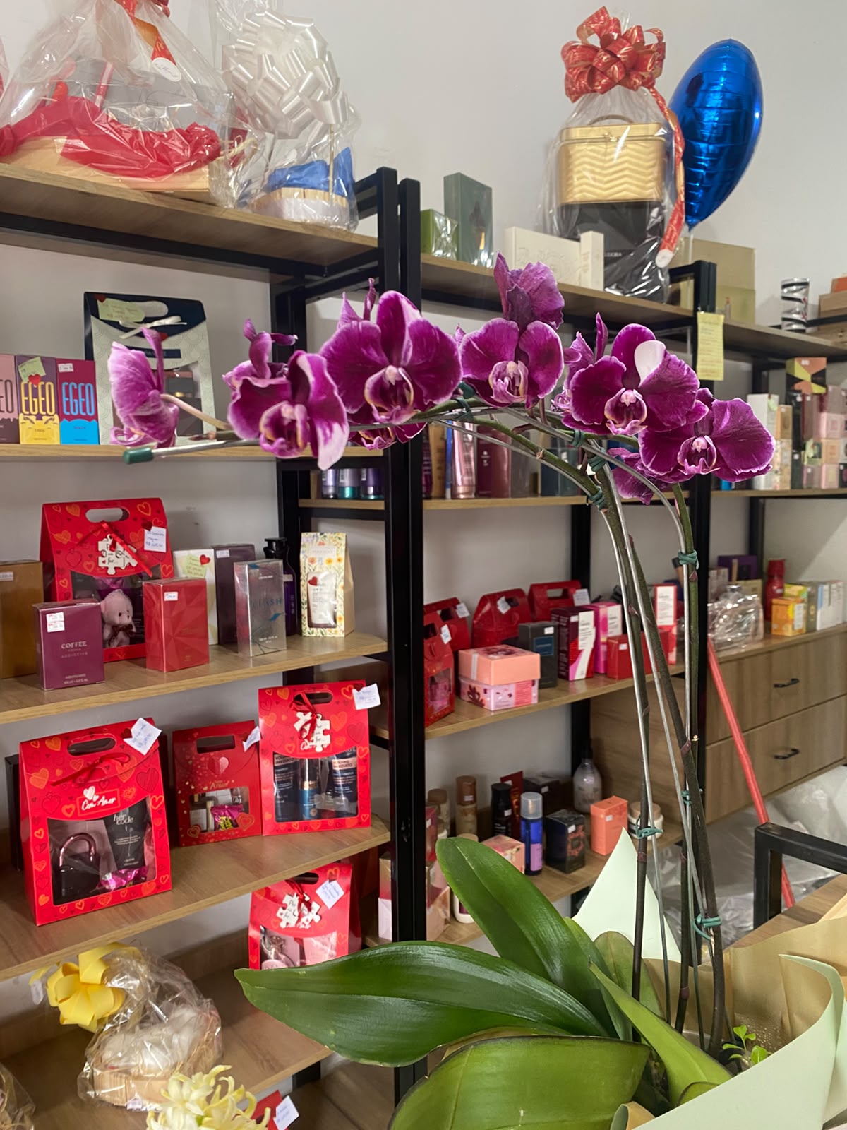 Orquídea Phalaenopsis
