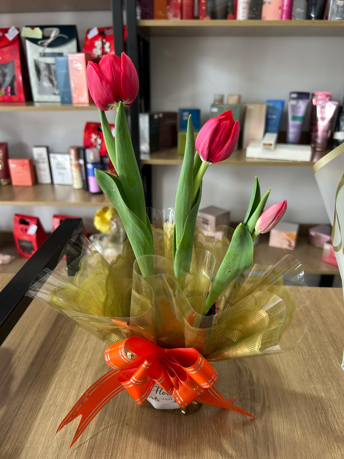 Tulipas em Vaso