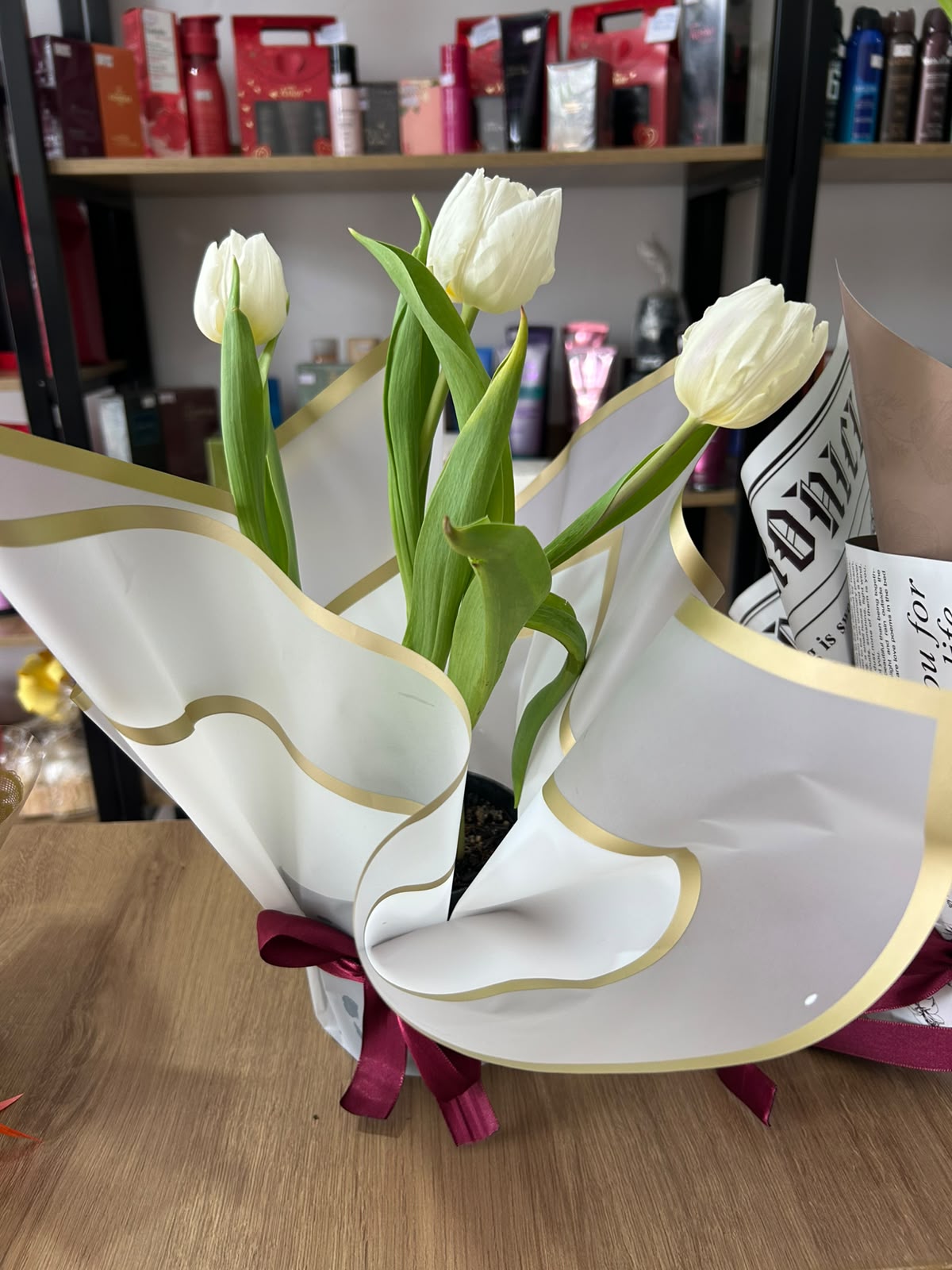Tulipas em Vaso