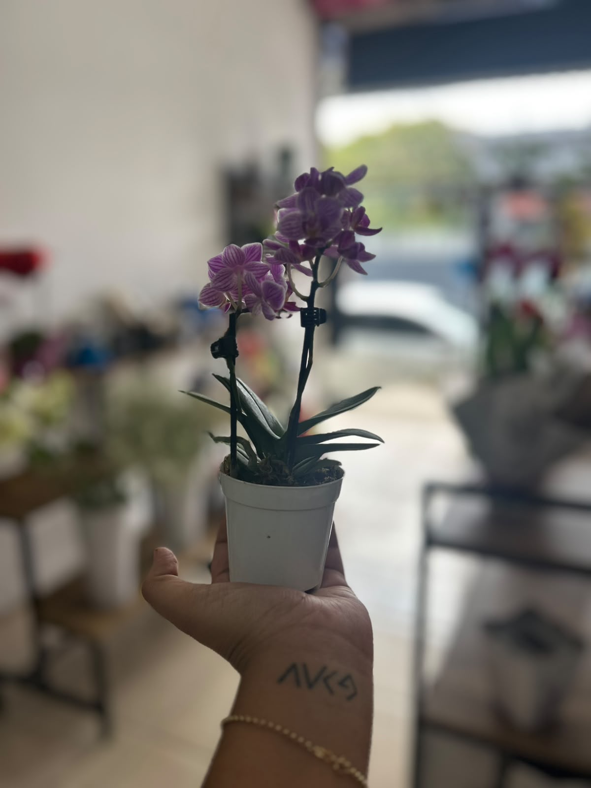 Mini Orquídea